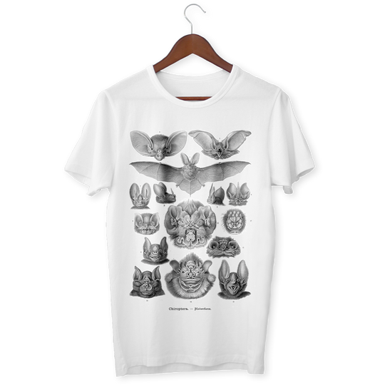 Ernst Haeckel’s Bats T-Shirt