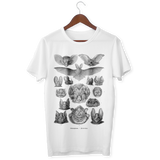 Ernst Haeckel’s Bats T-Shirt