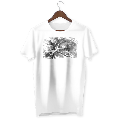 Cheshire Cat fades to a smile T-Shirt