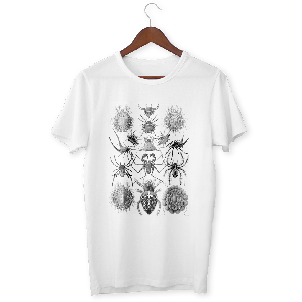 Ernst Haeckel’s Arachnida T-Shirt