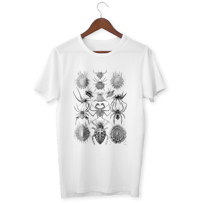 Ernst Haeckel’s Arachnida T-Shirt