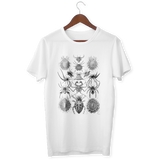 Ernst Haeckel’s Arachnida T-Shirt